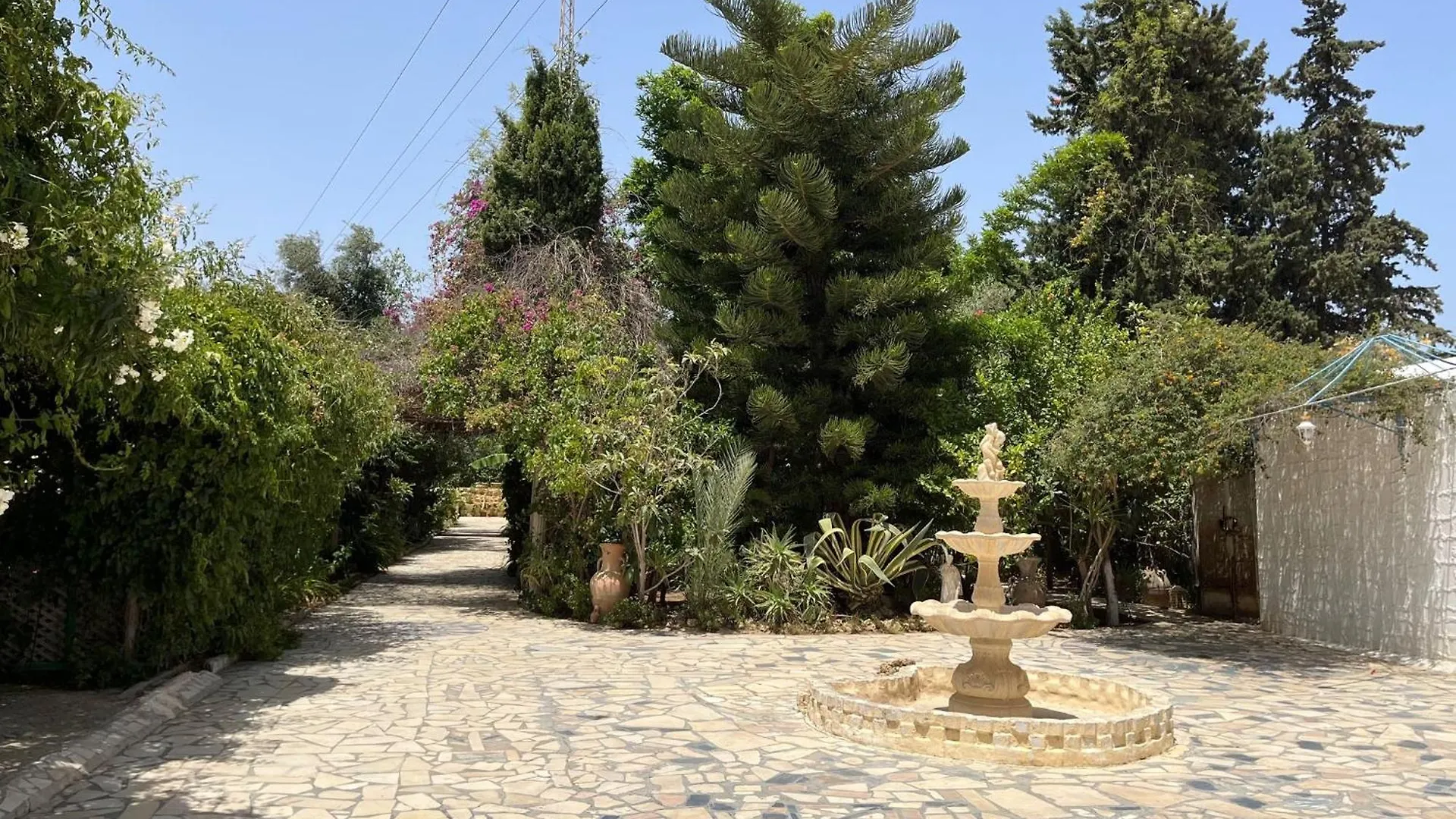 Salone del B&B Dar Beldi con camino, mosaici tradizionali tunisini e arredi caldi