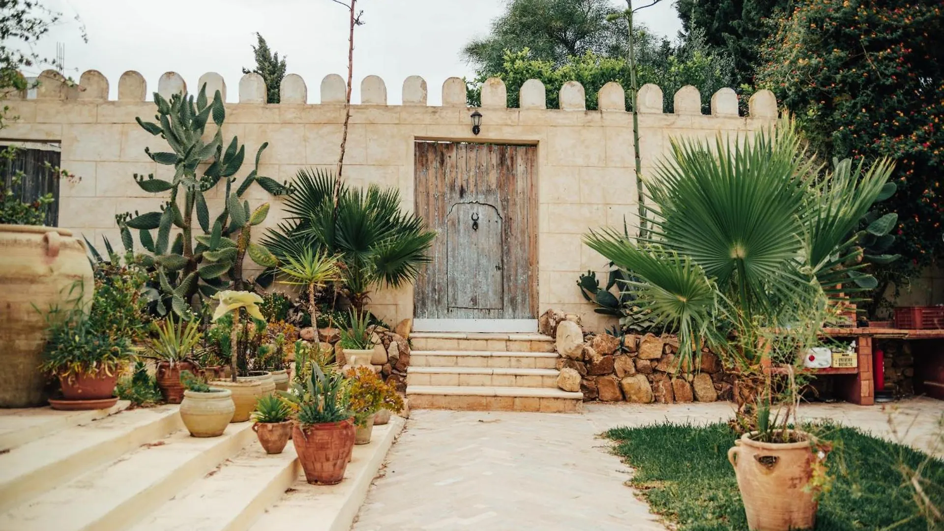 Cortile del B&B Dar Beldi ad Hammamet con antica porta tunisina in legno, piante grasse e vasi in terracotta